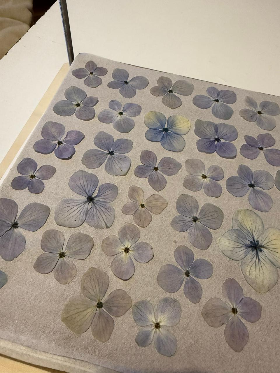 Floral Shelter - Pieza 20